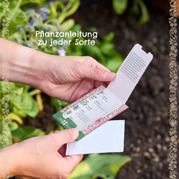 Wildtomate BIO - Die Stadtgärtner